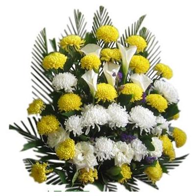 执着——玖玖花圈玖玖花圈